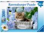 Ravensburger puzzle 128945 Malé kočky dílků 300 XXL dílků 2