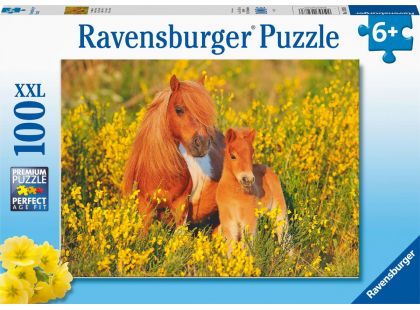 Ravensburger Puzzle Shetladnský poník 100 XXL dílků