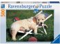 Ravensburger Puzzle 141791 Zlatý retrívr 500 dílků 2