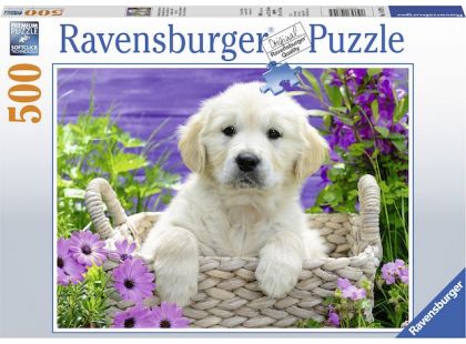 Ravensburger Puzzle Roztomilý zlatý retriever 500 dílků