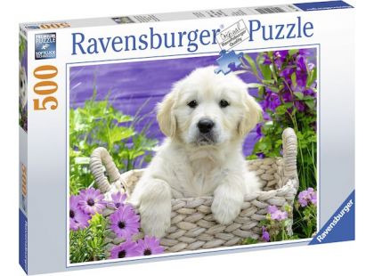 Ravensburger Puzzle Roztomilý zlatý retriever 500 dílků