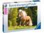 Ravensburger puzzle 150090 Portrét koně 1000 dílků 3