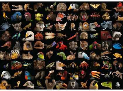Ravensburger puzzle 159833 National Geographic Ohromující zvířata 1000 dílků