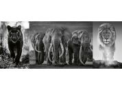 Ravensburger puzzle 167296 Panter, slon a lev 1000 dílků Panorama