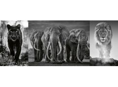 Ravensburger Puzzle panorama Panter, slon a lev 1000 dílků