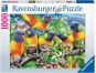 Ravensburger Puzzle 168156 Země papoušků 1000 dílků 2
