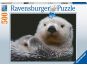 Ravensburger Puzzle Roztomilá malá vydra 500 dílků 2