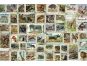 Ravensburger Puzzle 170791 Zvířecí známky 3000 dílků 2