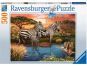 Ravensburger puzzle 173761 Zebry 500 dílků 2