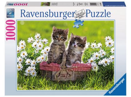 Ravensburger Puzzle Kočičí piknik 1000 dílků