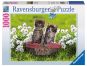 Ravensburger Puzzle Kočičí piknik 1000 dílků 2