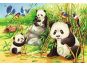 Ravensburger Puzzle 78202 Sladké koaly a pandy 2x24 dílků 3