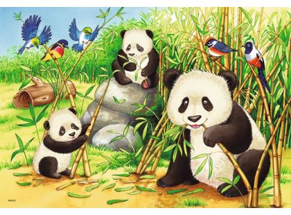 Ravensburger Puzzle 78202 Sladké koaly a pandy 2x24 dílků