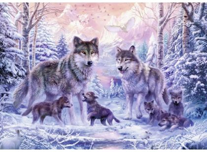 Ravensburger Puzzle Arktičtí vlci 1000 dílků
