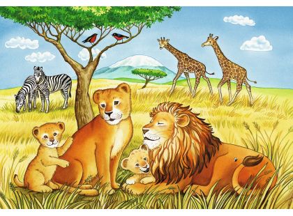 Ravensburger Puzzle Exotická zvířata 2x12 dílků