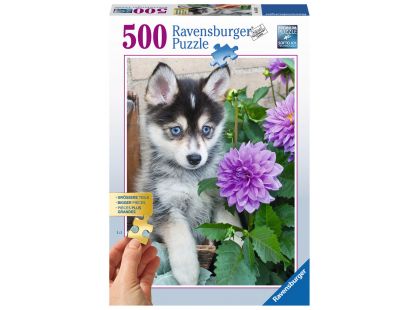 Ravensburger Puzzle Husky 500 dílků