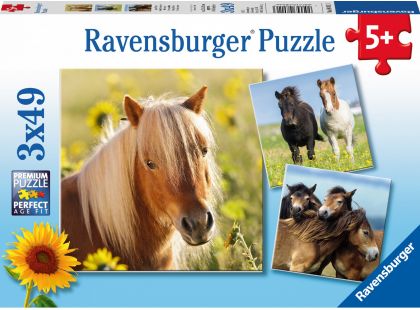 Ravensburger Puzzle Poníky 3x49 dílků
