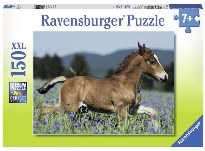 Ravensburger Puzzle Premium 100248 Hříbě 150 XXL dílků