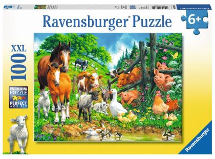 Ravensburger Puzzle Premium Zvířata spolu 100 XXL dílků