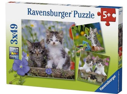 Ravensburger Puzzle Premium Koťata 3 x 49 dílků