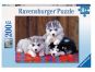 Ravensburger Puzzle Premium Husky 200 XXL dílků 2