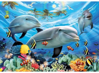 Ravensburger Puzzle Premium Karibský úsměv delfínů 300 XXL dílků