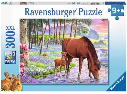 Ravensburger Puzzle Premium Klidný západ slunce 300XXL dílků