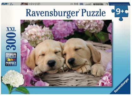 Ravensburger Puzzle Premium Sladcí psi v košíku 300XXL dílků