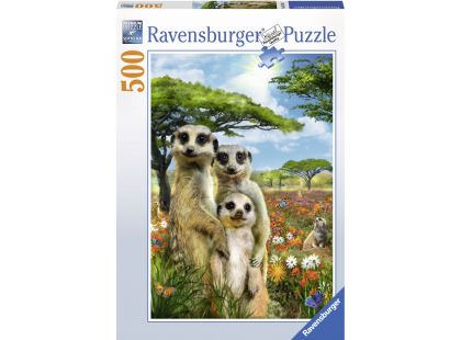 Ravensburger Puzzle Surikatí rodina 500 dílků