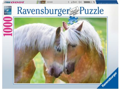 Ravensburger puzzle Úžasný moment 1000 dílků