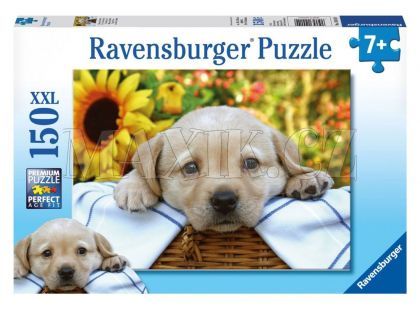 Ravensburger Puzzle XXL Malý piknik 150 dílků