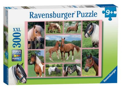 Ravensburger Puzzle XXL Nádherné koně 300 dílků