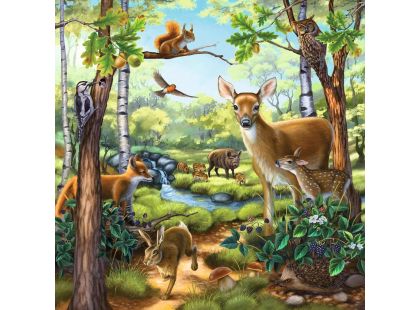 Ravensburger Puzzle Zvířata v zoo, lese nebo v domě 3 x 49 dílků