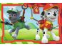 Ravensburger Tlapková Patrola puzzle 6 dílků 4