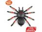 Robo Alive Velká Tarantule 38,5 cm 4