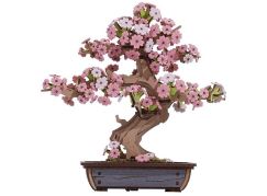 RoboTime 3D dřevěná skládačka Bonsaj sakura