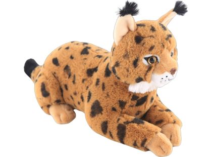Rys červený ležící 30 cm