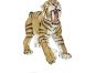 Safari Ltd Šavlozubý tygr 3