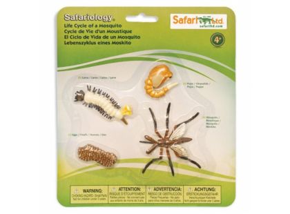 Safari Ltd Životní cyklus - Komár