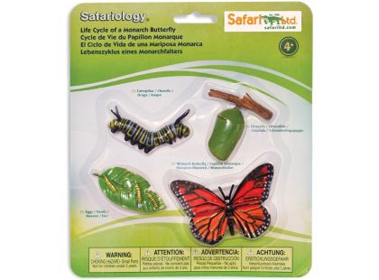 Safari Ltd Životní cyklus Motýl