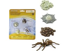 Safari Ltd Životní cyklus Pavouk