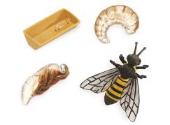 Safari Ltd Životní cyklus Včela