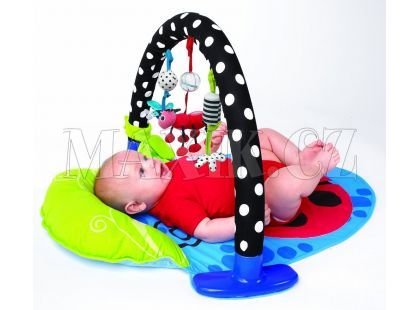 Sassy Hrací deka s aktivitami 3D