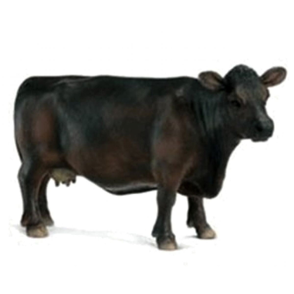 Schleich 13269 Kráva Angus