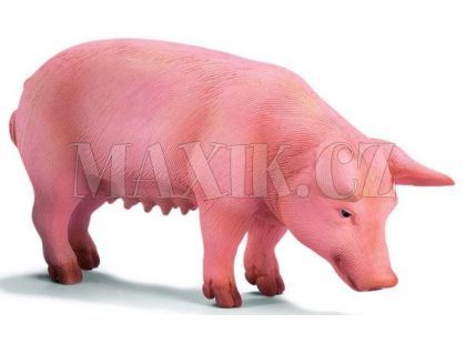 Schleich 13288 Prase domácí bachyně