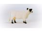Schleich 13960 Zvířátko Gallowayská kráva 5