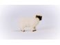 Schleich 13965 Zvířátko Valašská černostrakatá ovce 7