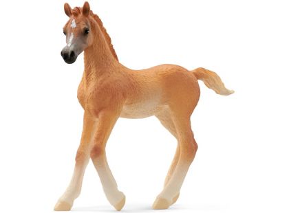 Schleich 13984 zvířátko arabské hříbě