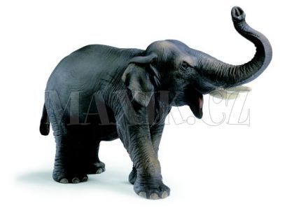 Schleich 14144 Slon Indický