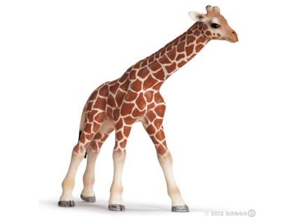 Schleich 14321 Žirafa mládě
